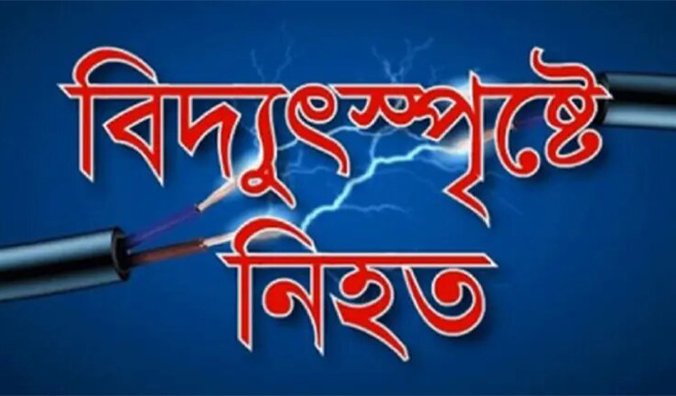 বিদ্যুতের তার ছিড়ে হবিগঞ্জে পরে দুই ব্যক্তি নিহত
