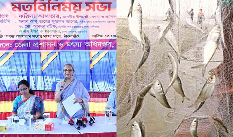 দেশের শত্রু অবৈধ জাল ব্যবহারকারীরা: মৎস্য ও প্রাণিসম্পদ উপদেষ্টা