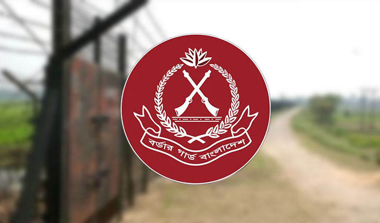 মৌলভীবাজারের বড়লেখা সীমান্তে আরও ১১ জনকে পুশইন করেছে বিএসএফ