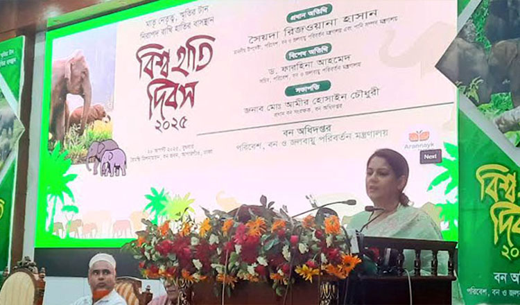 হাতি সংরক্ষণে আবাসস্থল রক্ষা, করিডোর মুক্তকরণ এবং সচেতনতা জরুরি : পরিবেশ উপদেষ্টা