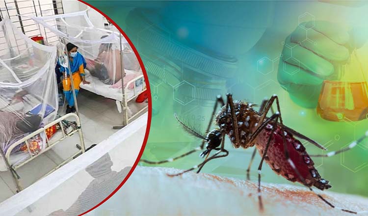 ডেঙ্গু জ্বরে আক্রান্ত হয়ে গত ২৪ ঘণ্টায় ৩ জনের মৃত্যু