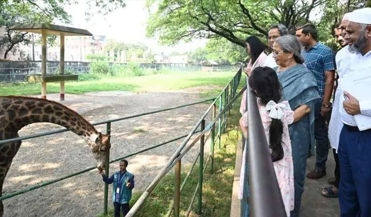 প্রাণিদের মানবিক যত্ন ও সুরক্ষা নিশ্চিত করতে হবে : মৎস্য ও প্রাণিসম্পদ উপদেষ্টা