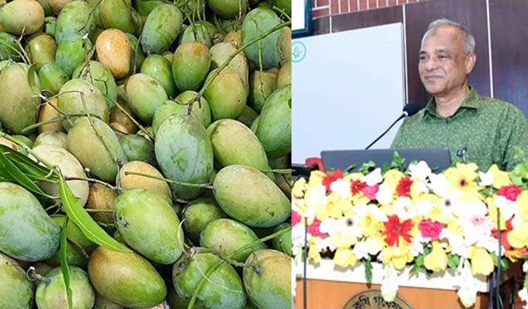 যুক্তরাষ্ট্র, জার্মানিসহ ৫টি দেশে আনুষ্ঠানিক আম রপ্তানি শুরু