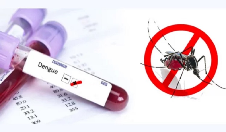 ডেঙ্গুতে আক্রান্তের সংখ্যা লাখ ছাড়াল