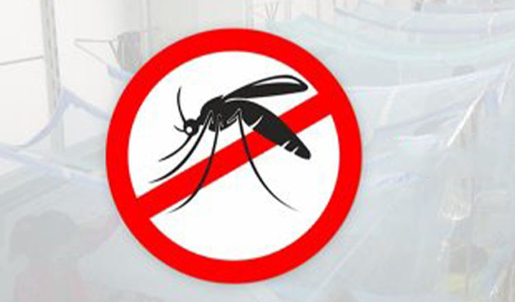 ডেঙ্গুতে গত ২৪ ঘণ্টায় আরও ২ জনের মৃত্যু