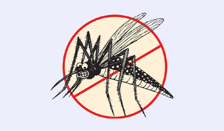 ডেঙ্গুতে গত ২৪ ঘণ্টায় ৩ জনের মৃত্যু, ভর্তি ৩৩১