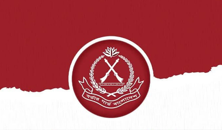 সীমান্ত নিরাপত্তায় তৎপর ৫৬ বিজিবি নীলফামারী ব্যাটালিয়ন