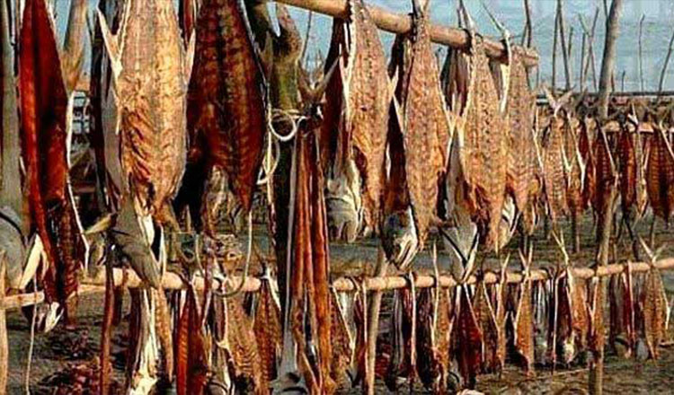 শুঁটকি উৎপাদন শুরু বরগুনা উপকূলে