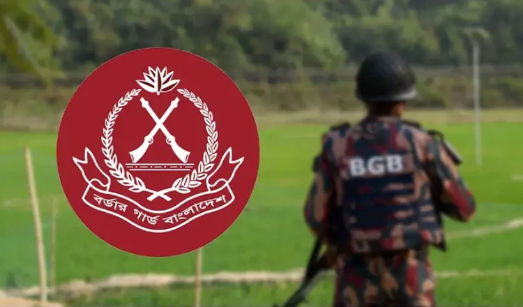 অবৈধ অনুপ্রবেশের অভিযোগে গ্রেফতার ৯ বাংলাদেশি নাগরিককে বিজিবির নিকট হস্তান্তর