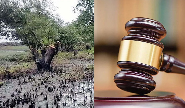 সোনাদিয়ায় প্যারাবন রক্ষায় ব্যবস্থা নিতে আইনি নোটিশ সচিবসহ ১০ কর্মকর্তাকে