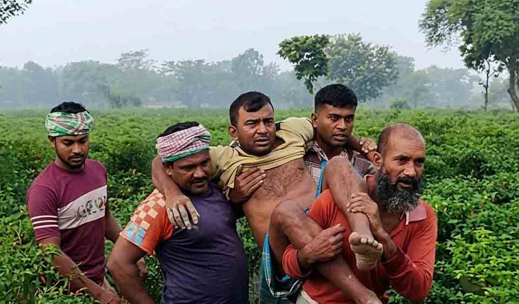 কুষ্টিয়া সীমান্তে বিএসএফের গুলিতে আহত কৃষক