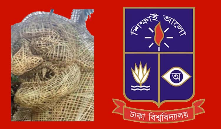 চারুকলায় ফ্যাসিবাদের মুখোশে আগুন দেওয়ার ঘটনা পরিকল্পিত : ঢাবি সাদা দল