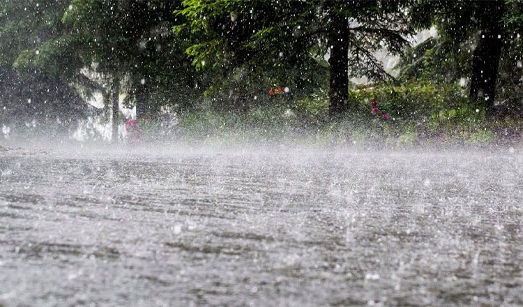 সারাদেশে বৃষ্টির সম্ভাবনা, কোথাও কোথাও হতে পারে ভারী বর্ষণ