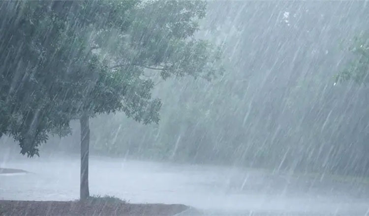 দেশের সব বিভাগে বৃষ্টির সম্ভাবনা