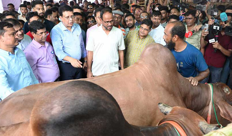 বৈধ উৎস থেকে কোরবানির পশু কিনতে মৎস্য ও প্রাণিসম্পদ প্রতিমন্ত্রীর আহ্বান
