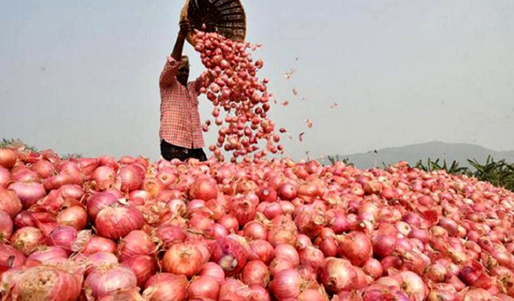 ভারত প্রত্যাহার করল পেঁয়াজের ন্যূনতম রপ্তানি মূল্য!