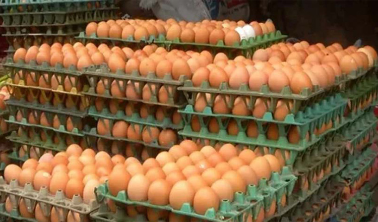 ডিমের দাম ডজনে ২৫-৩০ টাকা কমেছে সরকারি পদক্ষেপে