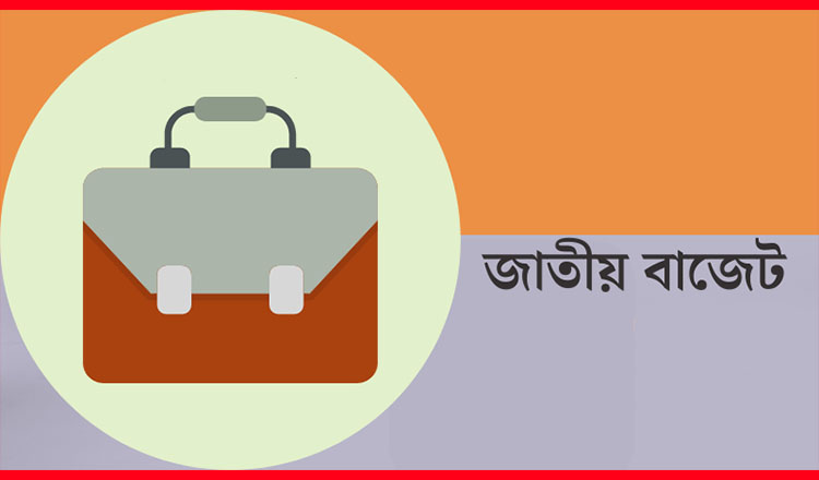অর্থ বিভাগের ওয়েবসাইটে দেখা যাবে বাজেট ডকুমেন্টস