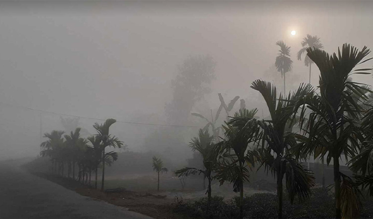 দেশের উত্তর এবং পশ্চিমাঞ্চলে মৃদু শৈত্য প্রবাহ অব্যাহত থাকতে পারে