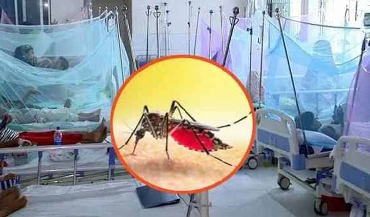 ডেঙ্গুতে বাড়ছে মৃত্যু, ২৪ ঘণ্টায় আরও ৭ জনের প্রাণহানি