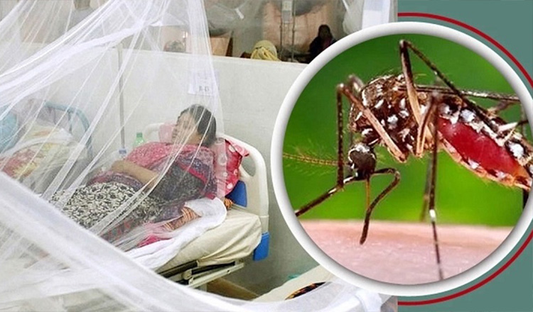 আরও ৮ জনের মৃত্যু ডেঙ্গুতে