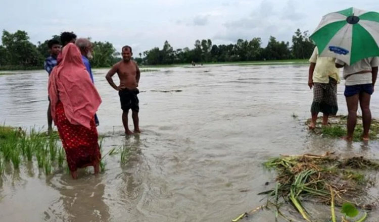 নীলফামারীতে উজানের ঢলে তিস্তার পানি বিপৎসীমার ১৮ সেন্টিমিটার ওপরে, পানিবন্দী হাজারো মানুষ