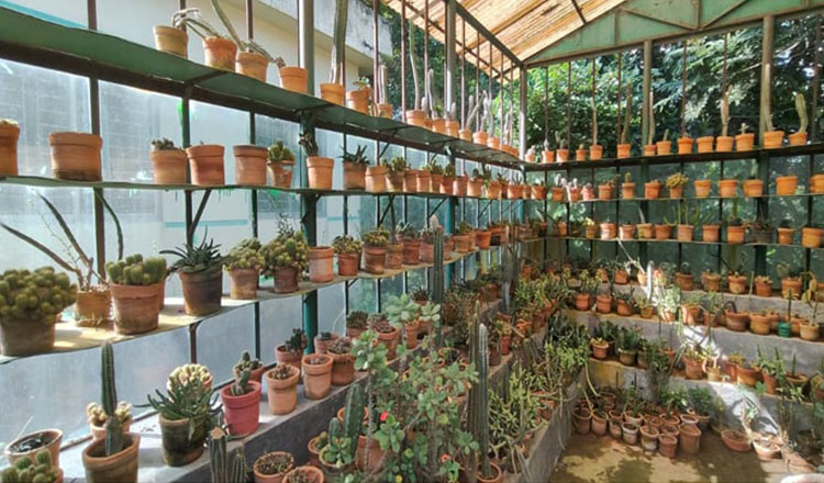 বাংলাদেশের প্রথম ‘ফরেস্ট মিউজিয়াম’ এখন লালমাই পাহাড়ে