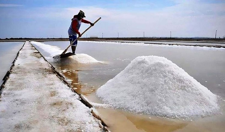 কক্সবাজারে চলতি মৌসুমের লবণ উৎপাদন শুরু হয়েছে