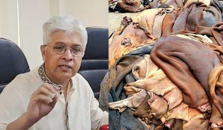 কাঁচা চামড়া সংরক্ষণ ব্যবস্থা দেখতে সাভার ট্যানারি পরিদর্শন করেছেন শিল্প উপদেষ্টা আদিলুর