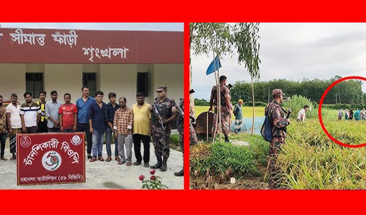 চাঁপাইনবাবগঞ্জ সীমান্তে ১৩ জনকে পুশইন করেছে ভারতীয় সীমান্তরক্ষী বাহিনী