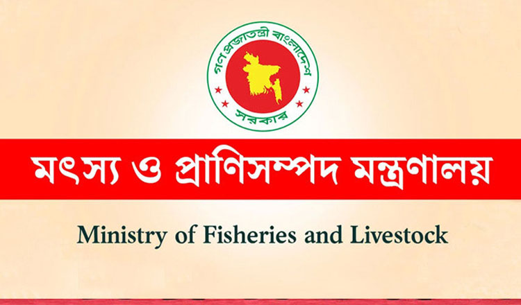 বাংলাদেশ ডেইরি উন্নয়ন বোর্ড গঠন করেছে অন্তর্বর্তী সরকার