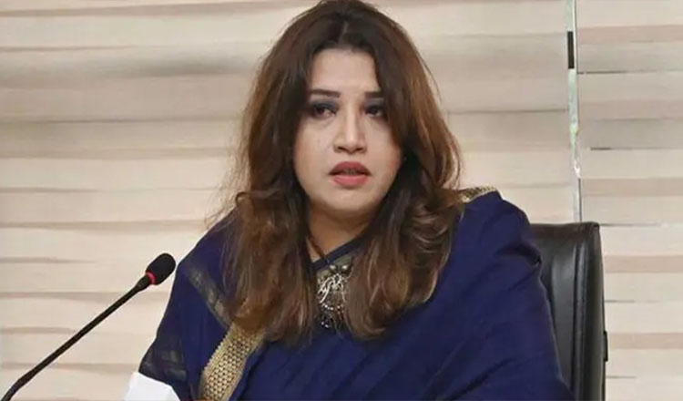 রোহিঙ্গা প্রত্যাবাসন নিশ্চিত করতে বৈশ্বিক সহযোগিতা চায় ঢাকা: পররাষ্ট্র প্রতিমন্ত্রী