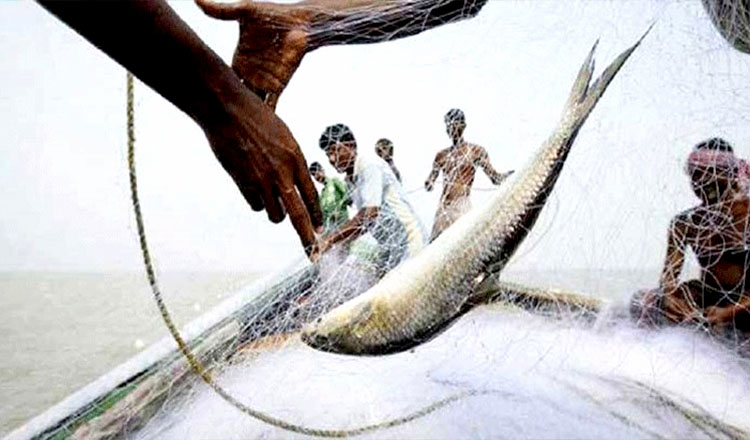 সরকার আজ থেকে সমুদ্রে ৫৮ দিন মাছ ধরা নিষেধ করেছে