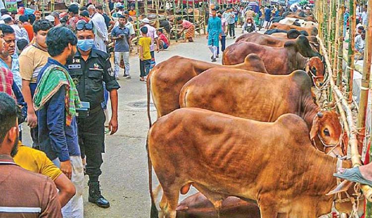 কোরবানির পশুর হাটে জমজমাট বেচাকেনা রাজধানীতে