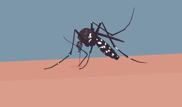 ডেঙ্গুতে গত ২৪ ঘণ্টায় আক্রান্ত ৩ জনের মৃত্যু, হাসপাতালে ভর্তি ৪১১