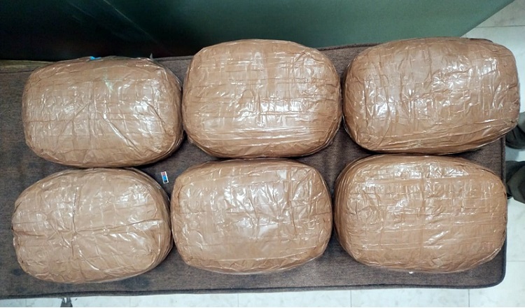 রাজধানীতে ১২ কেজি গাঁজা উদ্ধার, আটক এক