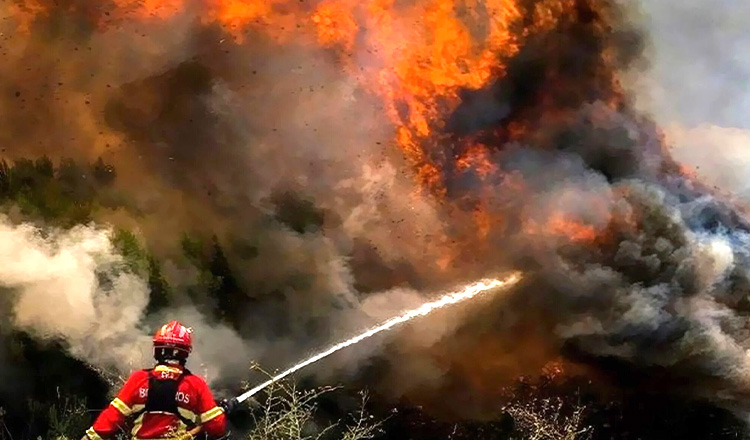 পর্তুগালে ভয়াবহ দাবানলে আরো মানুষ ঘর ছাড়তে বাধ্য হচ্ছে