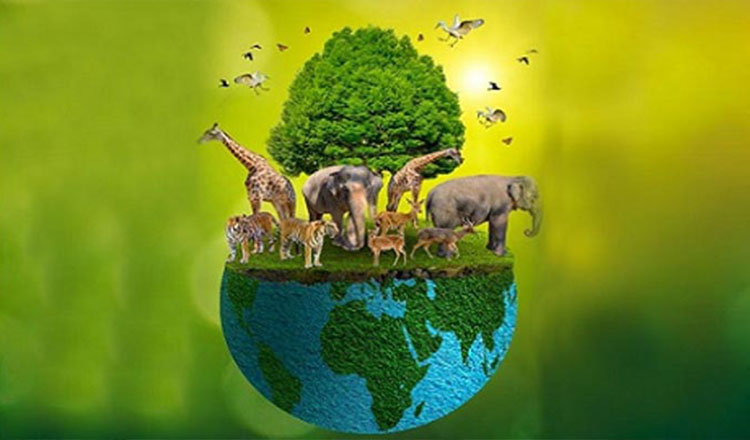 জীববৈচিত্রের প্রধান হুমকি মানব