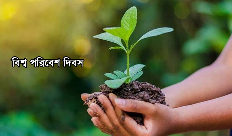 বিশ্ব পরিবেশ দিবস উপলক্ষে শিক্ষা প্রতিষ্ঠানে কর্মসূচি পালনের নির্দেশ