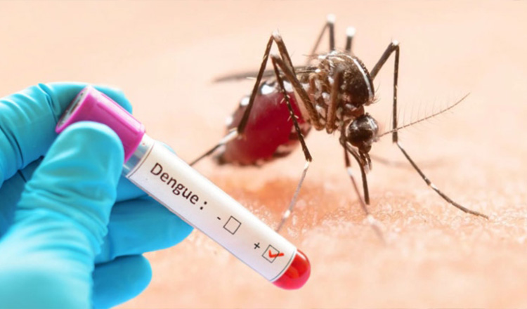 ডেঙ্গুতে আক্রান্ত হয়ে গত ২৪ ঘণ্টায় হাসপাতালে ভর্তি আরও ৪২৯ জন