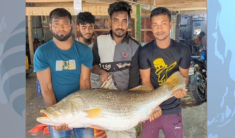 কুয়াকাটায় কোরাল ৩২ হাজারে বিক্রি