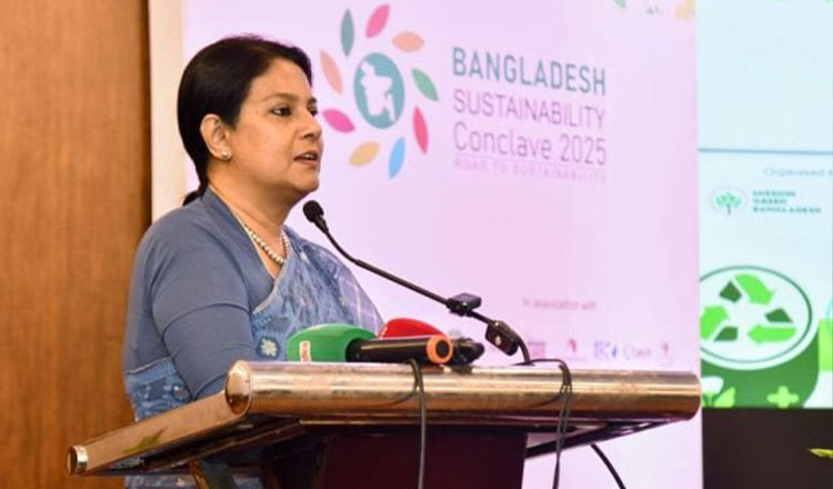 নবায়নযোগ্য জ্বালানিতে রূপান্তরে সরকারি প্রতিষ্ঠানগুলোকেই নেতৃত্ব দিতে হবে: পরিবেশ উপদেষ্টা