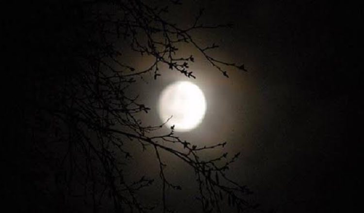 কমে পেতে পারে তাপমাত্রা