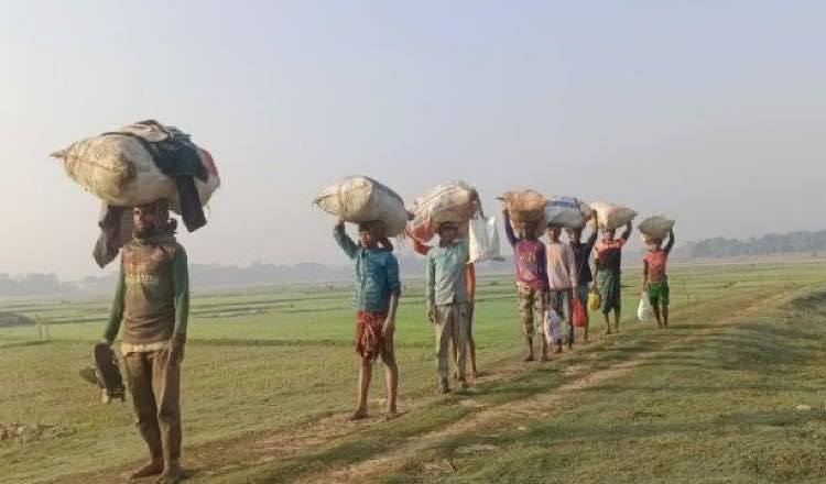 বোরো ধান আবাদে ব্যস্ত হাওরাঞ্চলের কৃষকরা