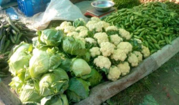 স্বস্তি ফিরেছে লালমনিরহাটে সবজির বাজারে