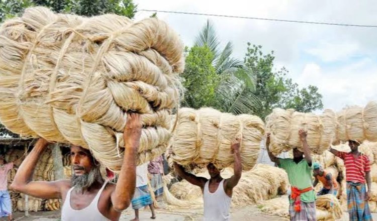 অন্তর্বর্তী সরকার পাটখাত পুনরুজ্জীবনে এক বছরে গুরুত্বপূর্ণ পদক্ষেপ নিয়েছে