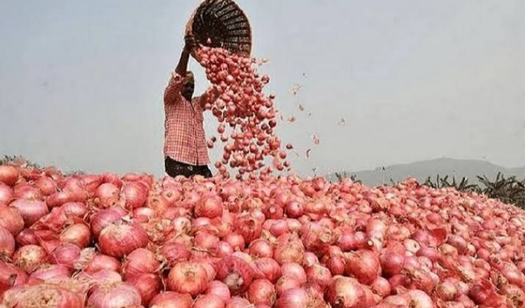 পেঁয়াজ সীমিত আকারে আমদানির অনুমতি দেয়া হবে: কৃষি মন্ত্রণালয়