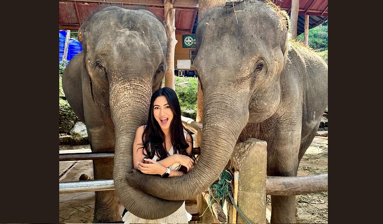 হাতির সাথে সাফা কবির