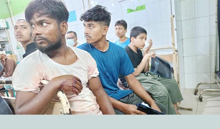 রাজধানীতে কোরবানি দিতে গিয়ে আহত তিনশতাধিক